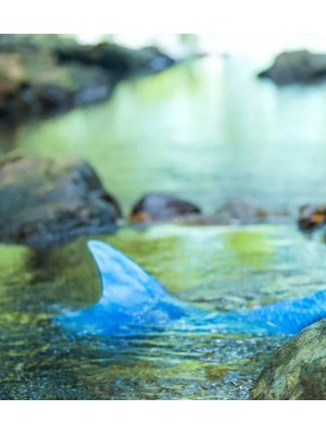 圣女贞德红怎样？药店有贞德红吗？