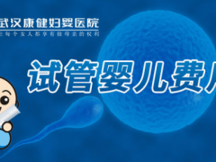 武汉康健妇婴医院：正规医院做个试管婴儿多少钱？