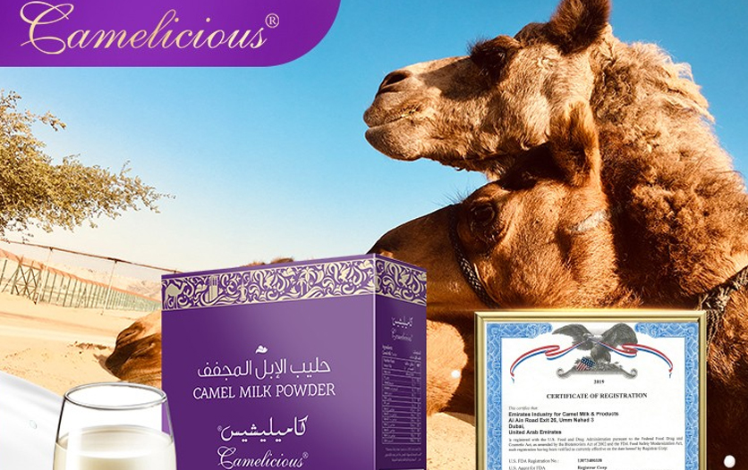 Camelicious紫盒骆驼奶——送礼的营养好物