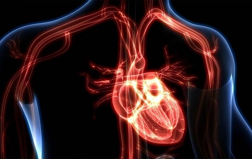 辅酶Q10能预防心肌炎？关于辅酶的注意事项，听听医生怎么说
